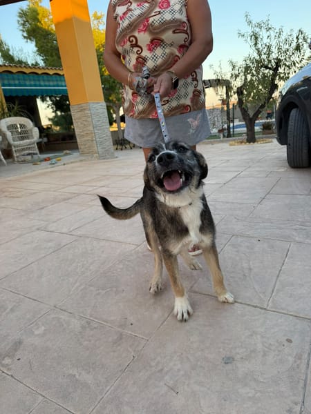 RUMBA (Martina)