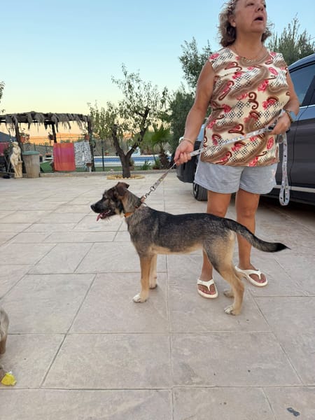 RUMBA (Martina)