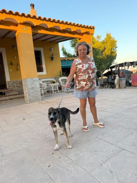 RUMBA (Martina)