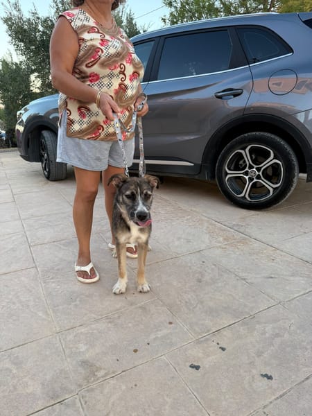 RUMBA (Martina)