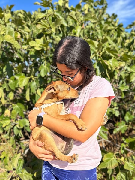 TITO (Animalea)