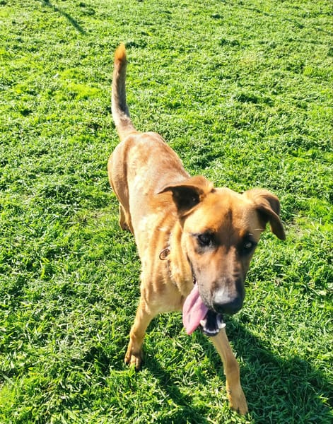 OTTO (Maria)