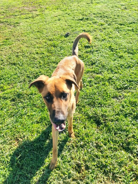OTTO (Maria)