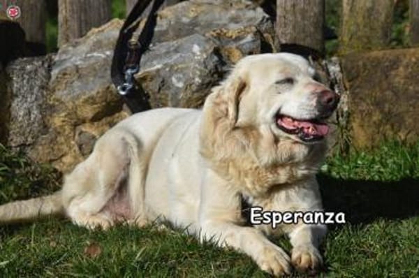 ESPERANZA