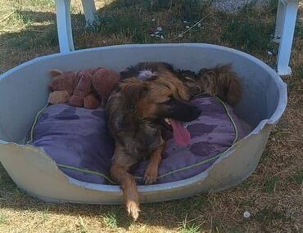 Brie  endlich soll ihr Leben beginnen ❤