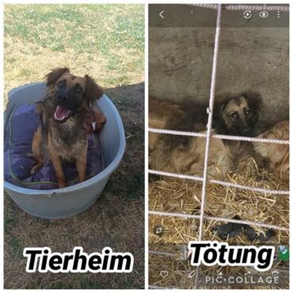 Brie  endlich soll ihr Leben beginnen ❤