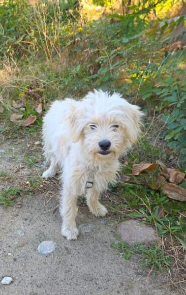 Eddie ein tolles Kerlchen