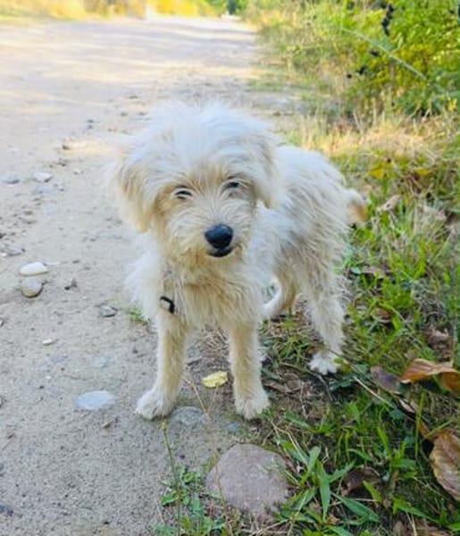 Eddie ein tolles Kerlchen