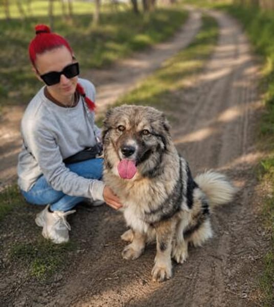 Edwina -Liebevolle Hundedame sucht tolles Zuhause!