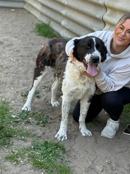 Pixie (Pampinea)- Sanfte Maus sucht ihr Zuhause