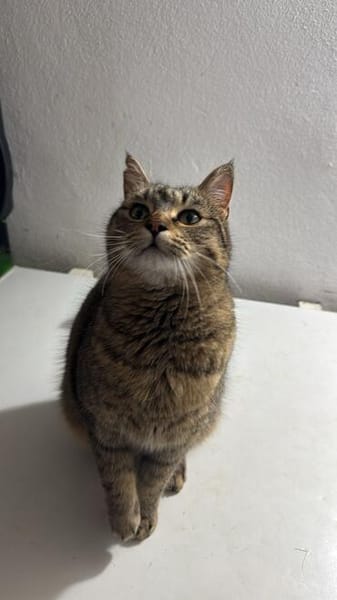 Jacky wartet auf ihr Stück vom Glück