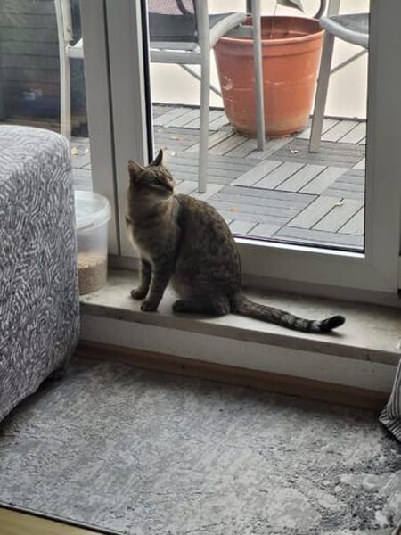 Jacky wartet auf ihr Stück vom Glück