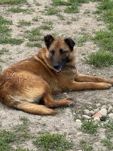 Ruby  ein ungesehener Rubin