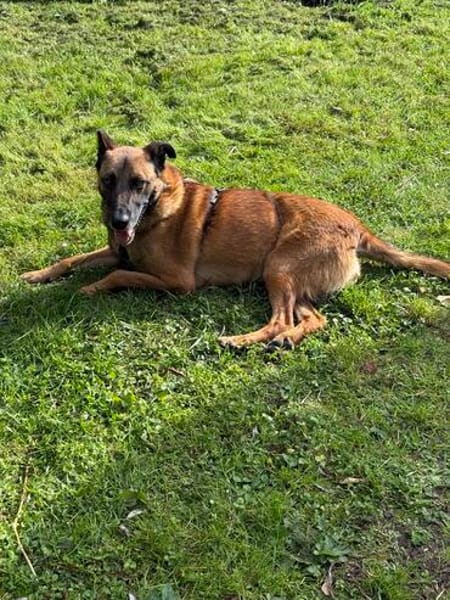 Ruby  ein ungesehener Rubin