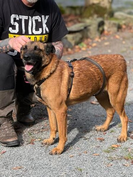 Ruby  ein ungesehener Rubin