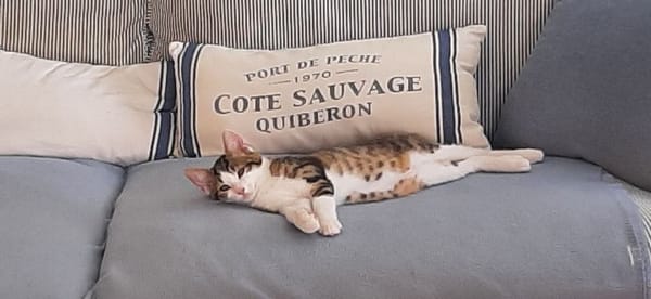 luna