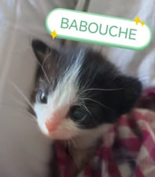 BABOUCHE
