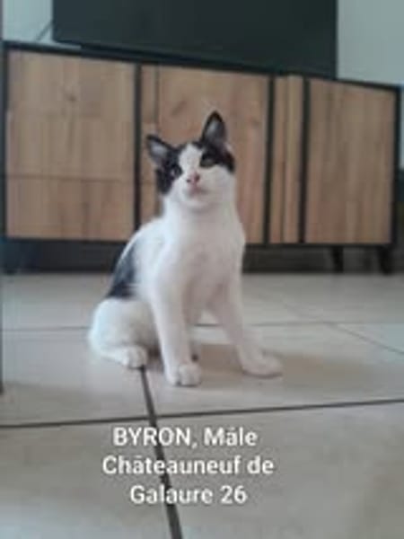 BYRON