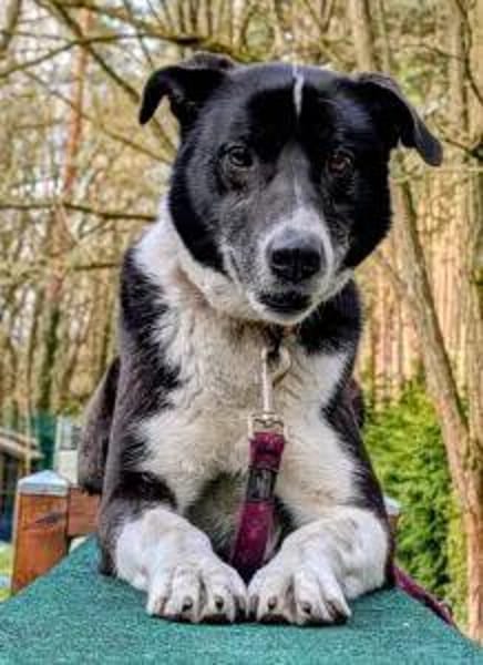 TRUDE, ein Schatz