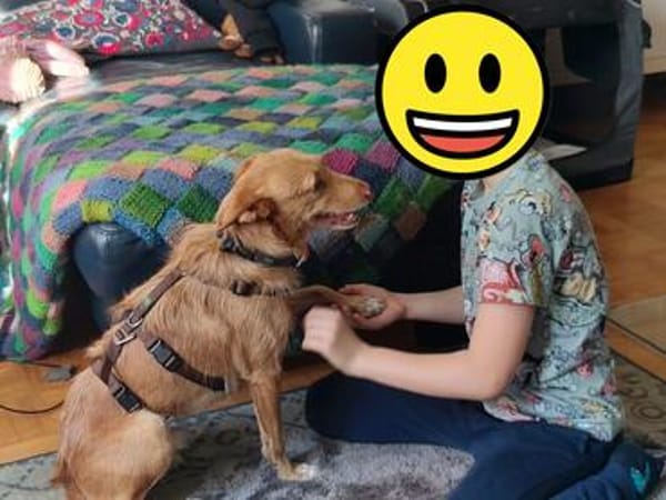 Roy2 sucht sein Zuhause - NEUIGKEITEN!!!