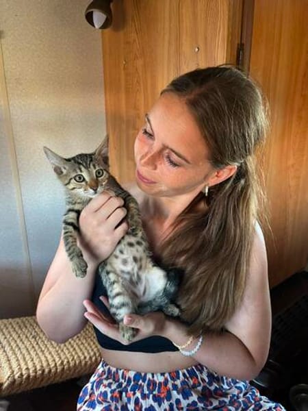 Verspieltes Kitten- Franzi