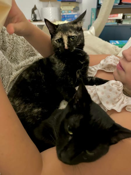 JASMIN et MARGUERITE