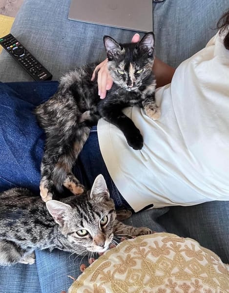 CHASKA ET UQI À ADOPTER EN DUO