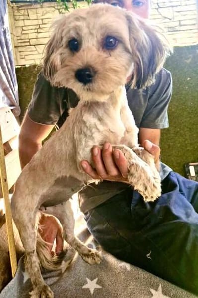 Kleine zarte Milla sucht Menschen zum Ankommen