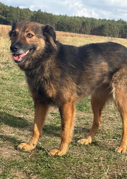 Alice  eine wundervolle Begleiterin