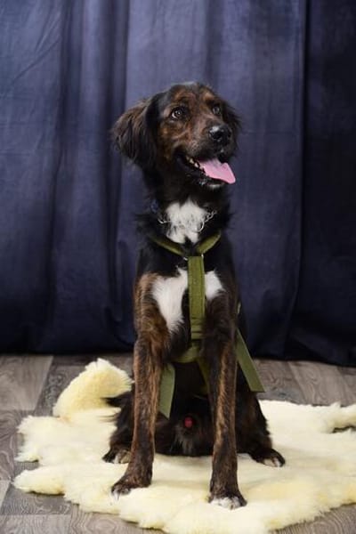 AKKI - sportlich aktiver Typ will noch Vieles lernen