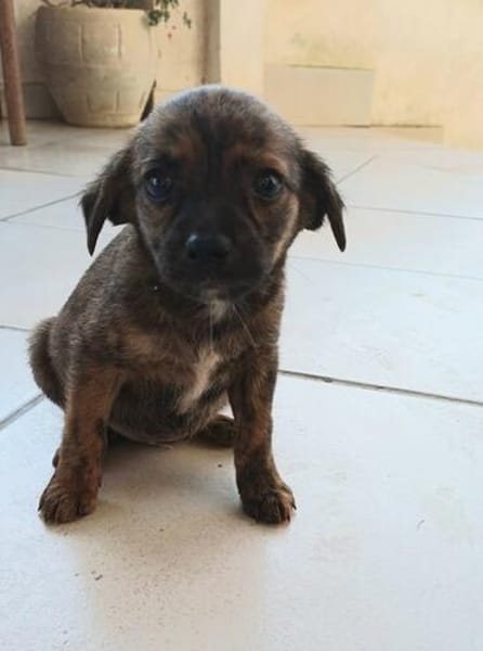 Sole-Malina 🧡🧡🧡liebes Zuhause gesucht