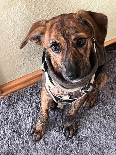 Sole-Malina 🧡🧡🧡liebes Zuhause gesucht