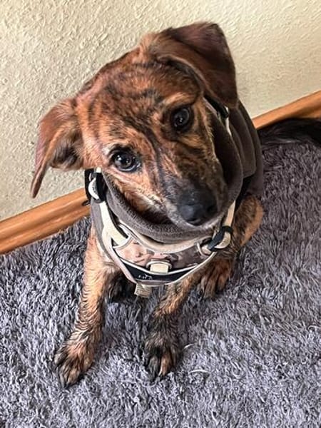 Sole-Malina 🧡🧡🧡liebes Zuhause gesucht