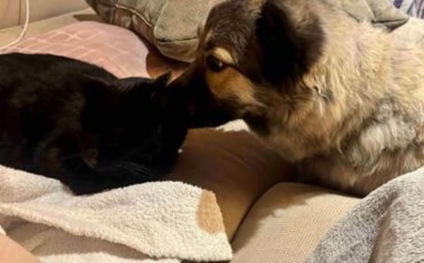 Flora sucht ihre Menschen