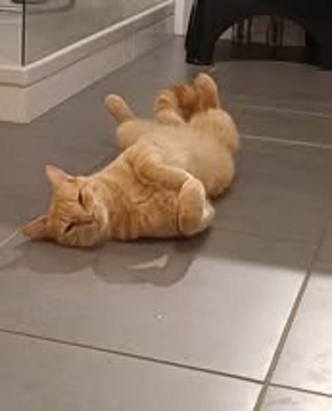 CARAMEL