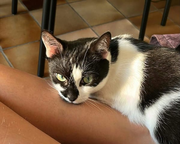 Juliette