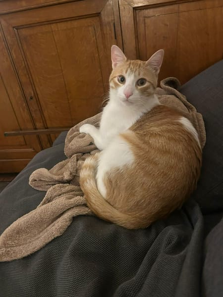 Miki