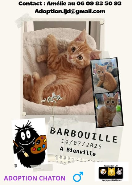 Barbouille