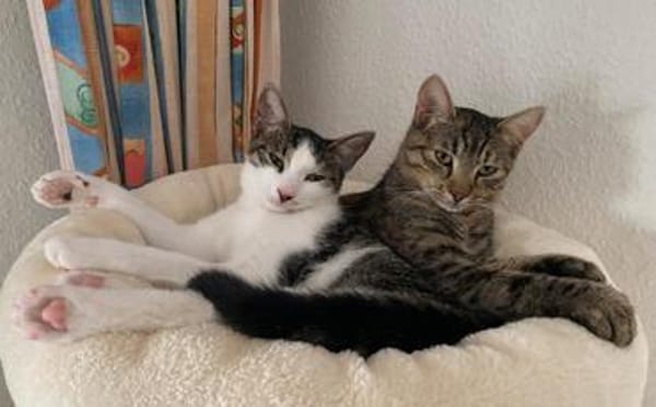 Lea und Flecki wünschen sich eine Familie