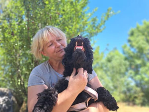 Momo, sensibler Begleiter, ca. 1 Jahr