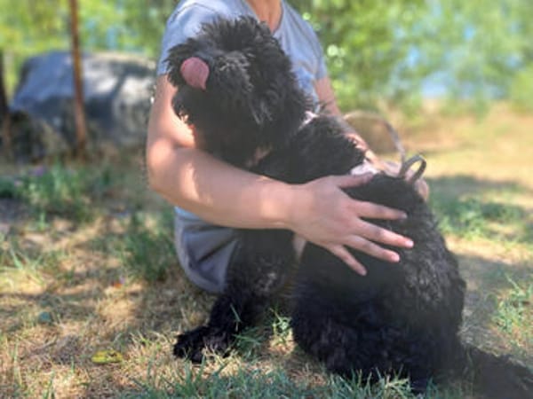Momo, sensibler Begleiter, ca. 1 Jahr