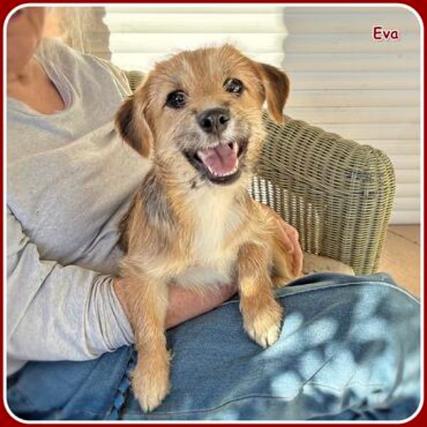 ❤ Eva und Liora: bereit für das Abenteuer Leben!