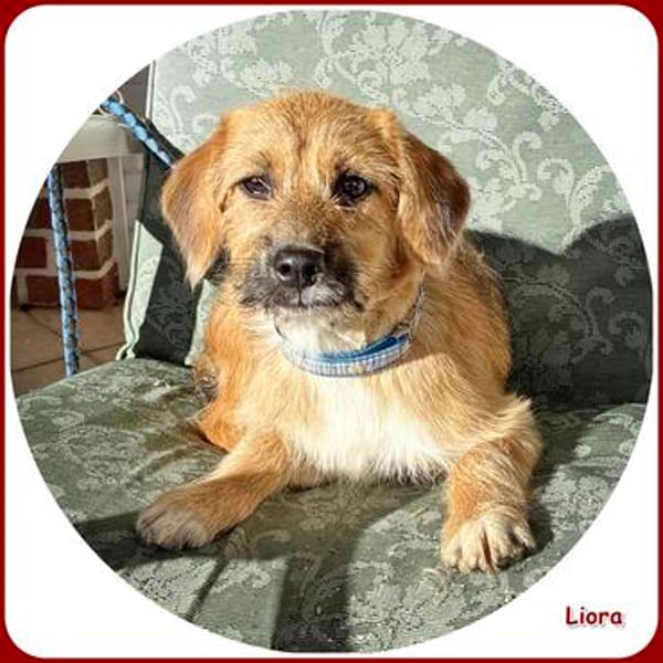 ❤ Eva und Liora: bereit für das Abenteuer Leben!