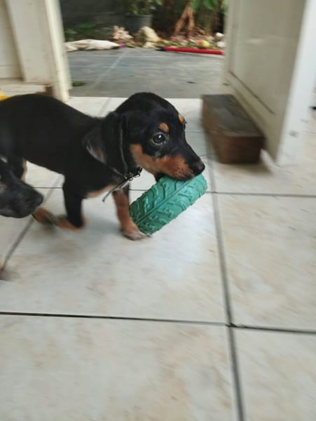 LIA, une vraie bouille d'amour