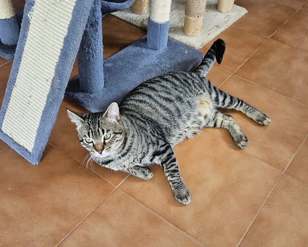 OREO