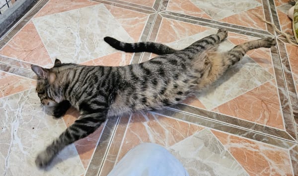 OREO
