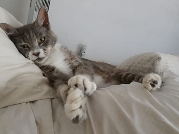 AMELIA