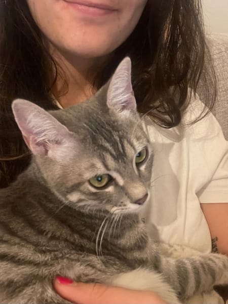Mimi
