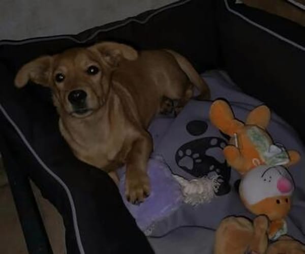 Endy- kleiner Bub mit ganz viel Quatsch im Kopf