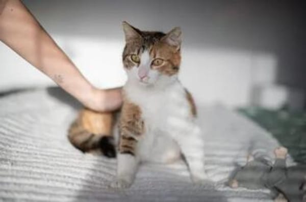 Wendy & Jenny Traumpärchen sucht Traumzuhause